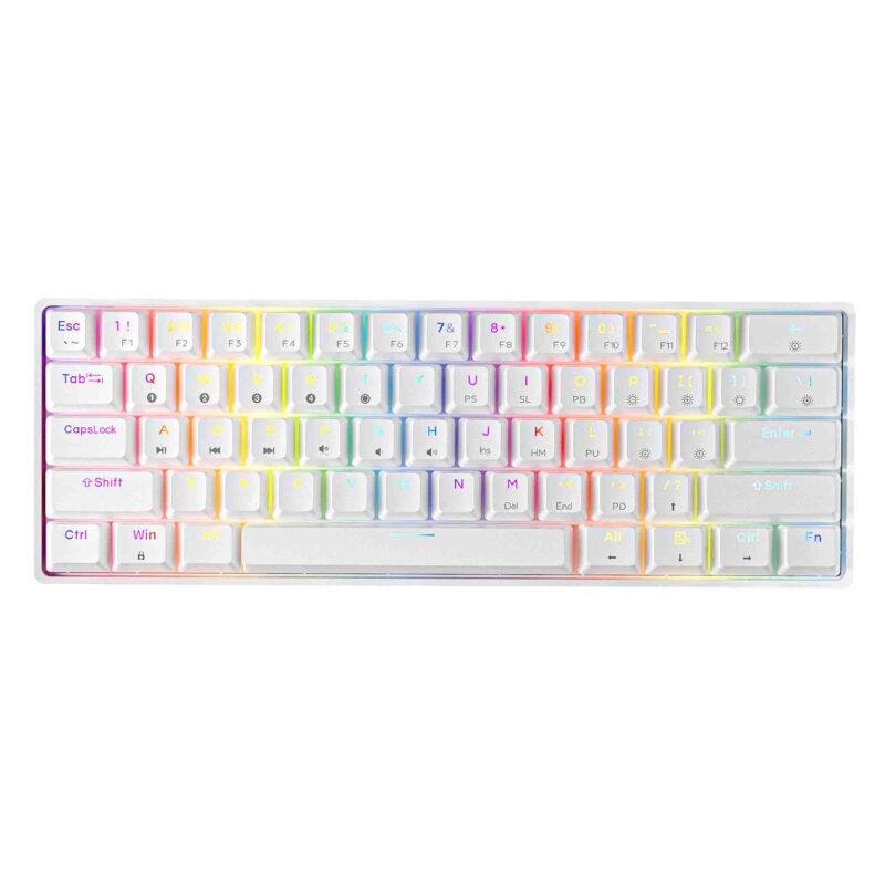 Dierya&Tmkb T68SE 60% Mechanical Gaming Keyboard 60%,RGB Backlit  Ultra-Compact 68 Keys Keyboard with Stand-Alone Arrow Keys for Windows  Laptop PC