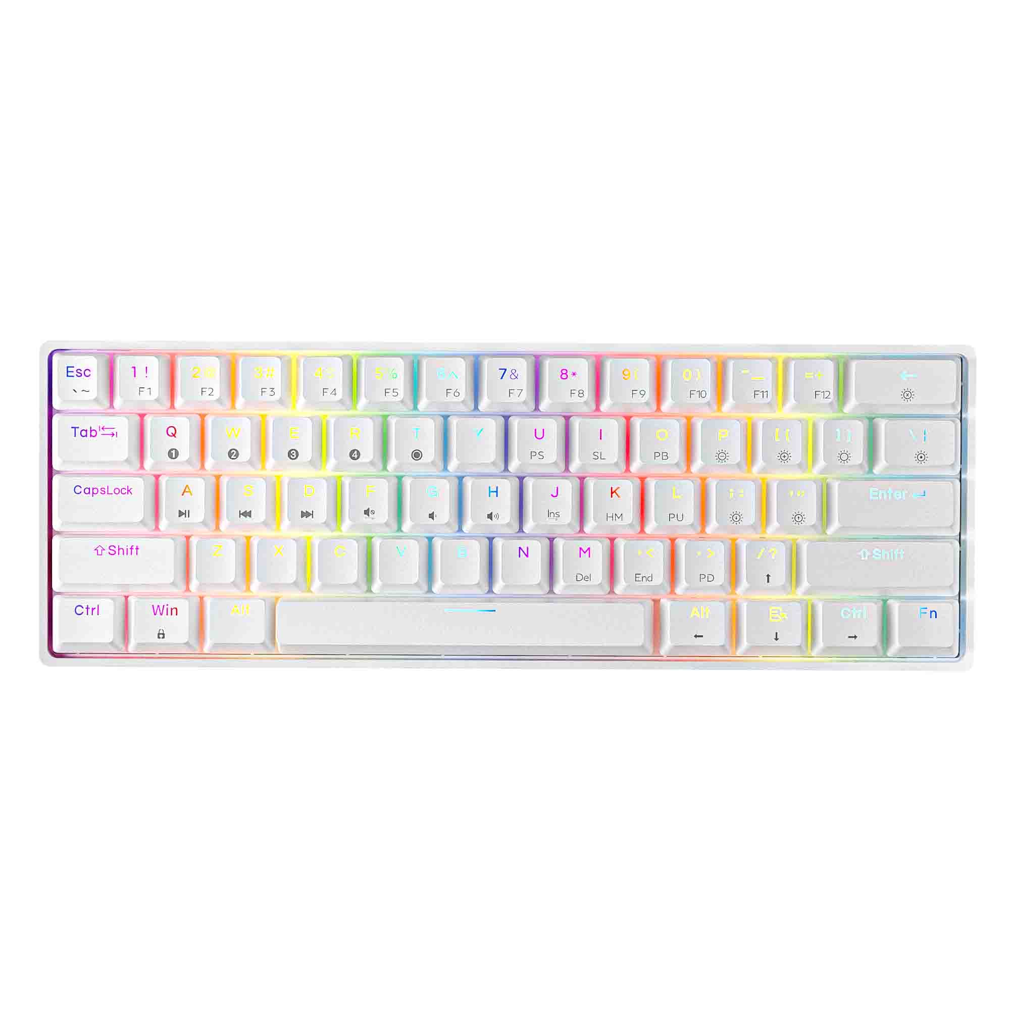 DIERYA DK61 - QWERTY - Clavier Gaming Mécanique - RVB - Switch Rouge  Gateron - Couleur