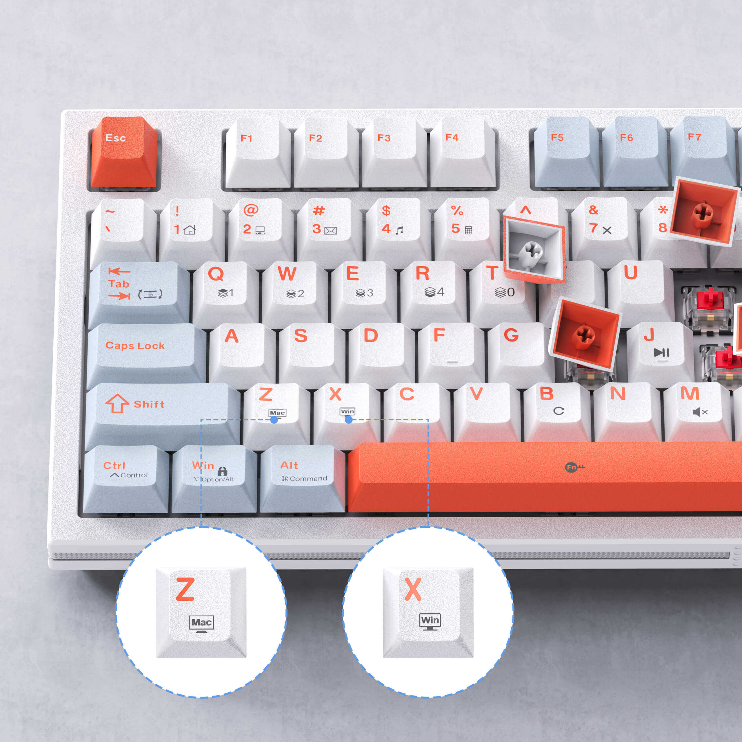 87se自建站zhutu1.563